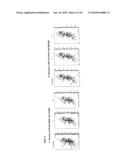 Regulation of protein synthesis diagram and image