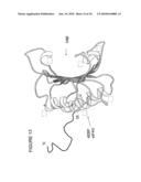 Regulation of protein synthesis diagram and image