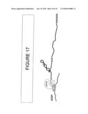 Regulation of protein synthesis diagram and image