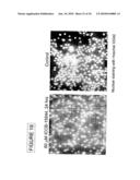 Regulation of protein synthesis diagram and image