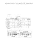 Regulation of protein synthesis diagram and image