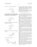 Regulation of protein synthesis diagram and image