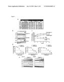 Use of Inhibitors of the Degradation of P27, in Particular Argyrin and Derivatives Thereof, for the Treatment of Proliferative Diseases diagram and image