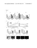 Use of Inhibitors of the Degradation of P27, in Particular Argyrin and Derivatives Thereof, for the Treatment of Proliferative Diseases diagram and image