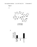 Use of Inhibitors of the Degradation of P27, in Particular Argyrin and Derivatives Thereof, for the Treatment of Proliferative Diseases diagram and image