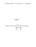 Methods for Modulating the Efficacy of Nucleic Acid Based Therapies diagram and image