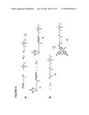 Methods for Modulating the Efficacy of Nucleic Acid Based Therapies diagram and image