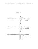 Methods for Modulating the Efficacy of Nucleic Acid Based Therapies diagram and image