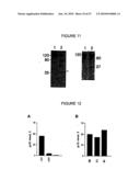 Methods for Modulating the Efficacy of Nucleic Acid Based Therapies diagram and image