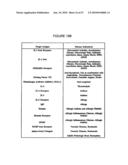 Methods for Modulating the Efficacy of Nucleic Acid Based Therapies diagram and image