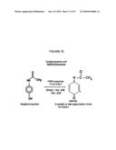 Methods for Modulating the Efficacy of Nucleic Acid Based Therapies diagram and image