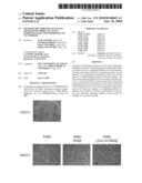 METHOD FOR INHIBITING SIGNALING MEDIATED BY ErbB2, SIGNALING INHIBITOR TO BE USED THEREFOR AND USE THEREOF diagram and image