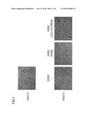 METHOD FOR INHIBITING SIGNALING MEDIATED BY ErbB2, SIGNALING INHIBITOR TO BE USED THEREFOR AND USE THEREOF diagram and image