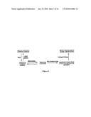 USE OF LECITHIN:RETINOL ACYL TRANSFERASE GENE PROMOTER METHYLATION IN EVALUATING THE CANCER STATE OF SUBJECT diagram and image