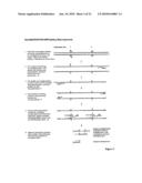 USE OF LECITHIN:RETINOL ACYL TRANSFERASE GENE PROMOTER METHYLATION IN EVALUATING THE CANCER STATE OF SUBJECT diagram and image