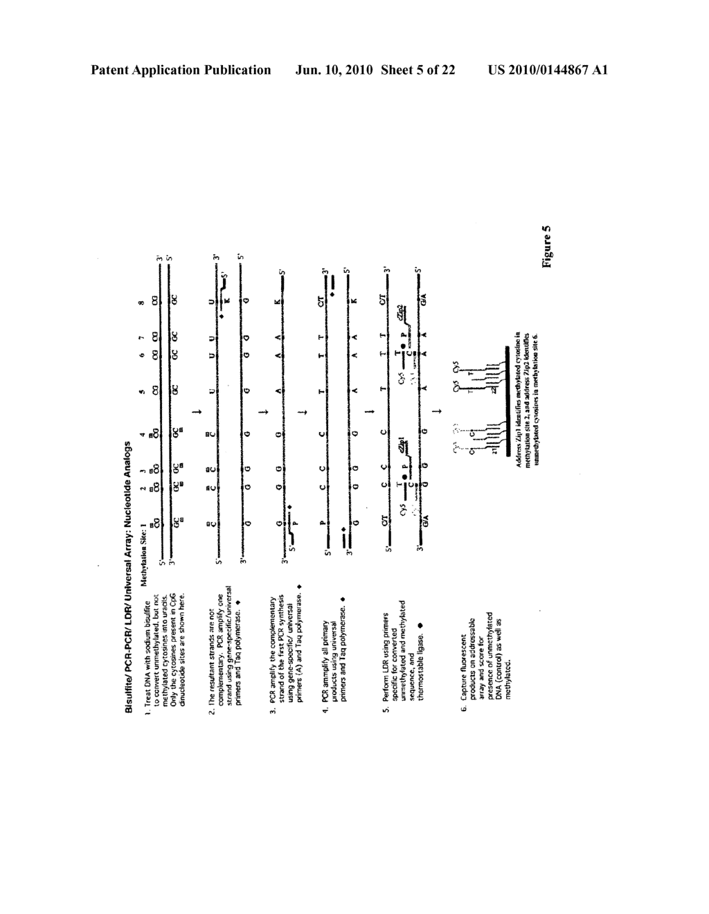 USE OF LECITHIN:RETINOL ACYL TRANSFERASE GENE PROMOTER METHYLATION IN EVALUATING THE CANCER STATE OF SUBJECT - diagram, schematic, and image 06