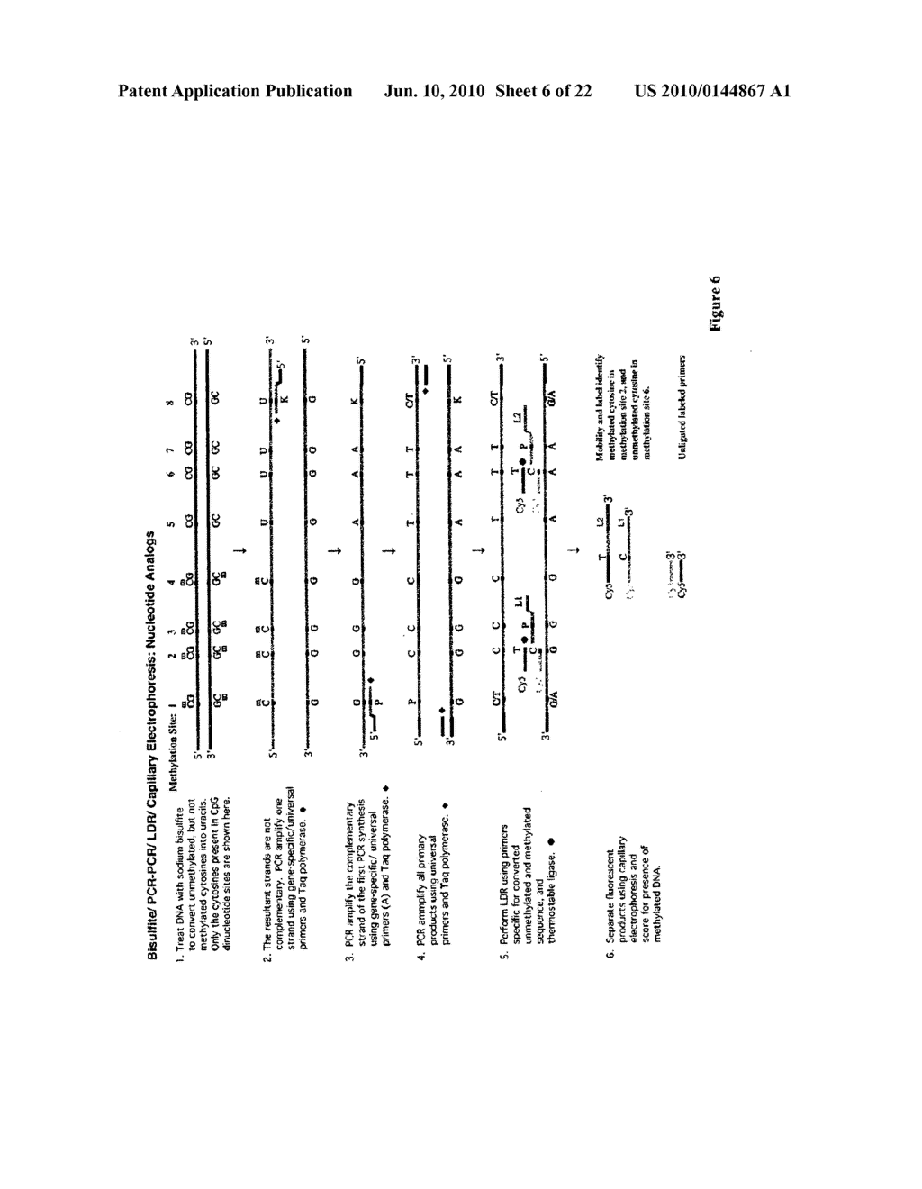 USE OF LECITHIN:RETINOL ACYL TRANSFERASE GENE PROMOTER METHYLATION IN EVALUATING THE CANCER STATE OF SUBJECT - diagram, schematic, and image 07