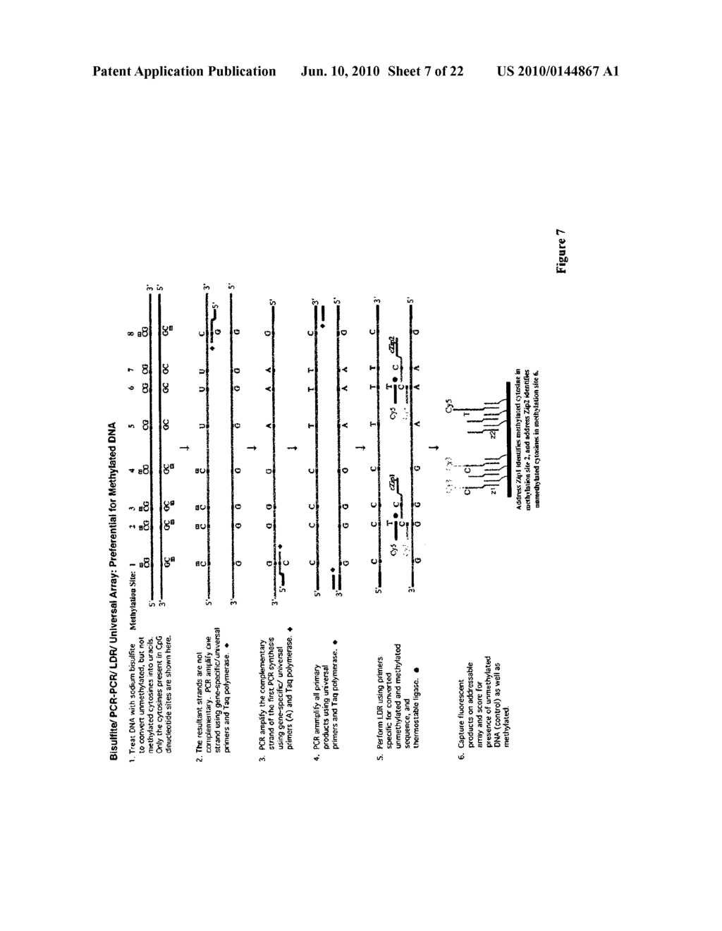 USE OF LECITHIN:RETINOL ACYL TRANSFERASE GENE PROMOTER METHYLATION IN EVALUATING THE CANCER STATE OF SUBJECT - diagram, schematic, and image 08