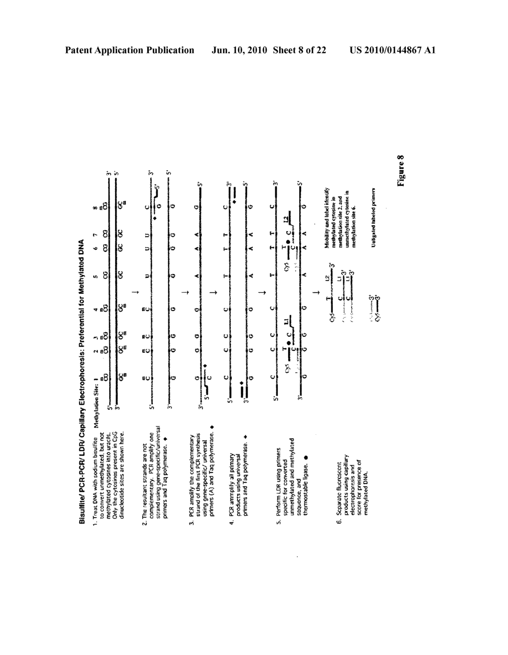 USE OF LECITHIN:RETINOL ACYL TRANSFERASE GENE PROMOTER METHYLATION IN EVALUATING THE CANCER STATE OF SUBJECT - diagram, schematic, and image 09