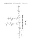 Stereo Photo Hydrofel, a Process of Making Said Stereo Photo Hydrogel, Polymers for Use in Making Such Hydrogel and a Pharmaceutical Comprising Said Polymers diagram and image