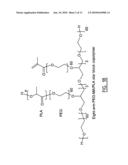 Stereo Photo Hydrofel, a Process of Making Said Stereo Photo Hydrogel, Polymers for Use in Making Such Hydrogel and a Pharmaceutical Comprising Said Polymers diagram and image