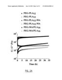 Stereo Photo Hydrofel, a Process of Making Said Stereo Photo Hydrogel, Polymers for Use in Making Such Hydrogel and a Pharmaceutical Comprising Said Polymers diagram and image