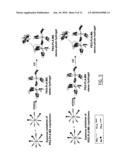 Stereo Photo Hydrofel, a Process of Making Said Stereo Photo Hydrogel, Polymers for Use in Making Such Hydrogel and a Pharmaceutical Comprising Said Polymers diagram and image