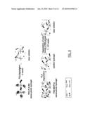 Stereo Photo Hydrofel, a Process of Making Said Stereo Photo Hydrogel, Polymers for Use in Making Such Hydrogel and a Pharmaceutical Comprising Said Polymers diagram and image