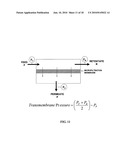 Method of Isolating Biomacromolecules Using Low pH and Divalent Cations diagram and image