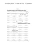 Optimized Nucleotide Sequences of VB6-845 For Expression of Recombinant Proteins diagram and image