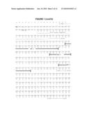 Optimized Nucleotide Sequences of VB6-845 For Expression of Recombinant Proteins diagram and image