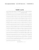 Optimized Nucleotide Sequences of VB6-845 For Expression of Recombinant Proteins diagram and image