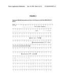 Optimized Nucleotide Sequences of VB6-845 For Expression of Recombinant Proteins diagram and image