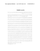 Optimized Nucleotide Sequences of VB6-845 For Expression of Recombinant Proteins diagram and image