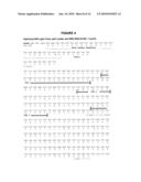 Optimized Nucleotide Sequences of VB6-845 For Expression of Recombinant Proteins diagram and image