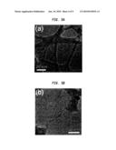 SELECTIVE PLACEMENT OF CARBON NANOTUBES THROUGH FUNCTIONALIZATION diagram and image