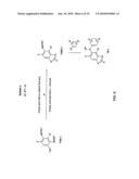 PROCESS FOR PREPARING BENZIMIDAZOLE COMPOUNDS diagram and image