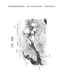 Apparatus for physical measurements of the eye diagram and image