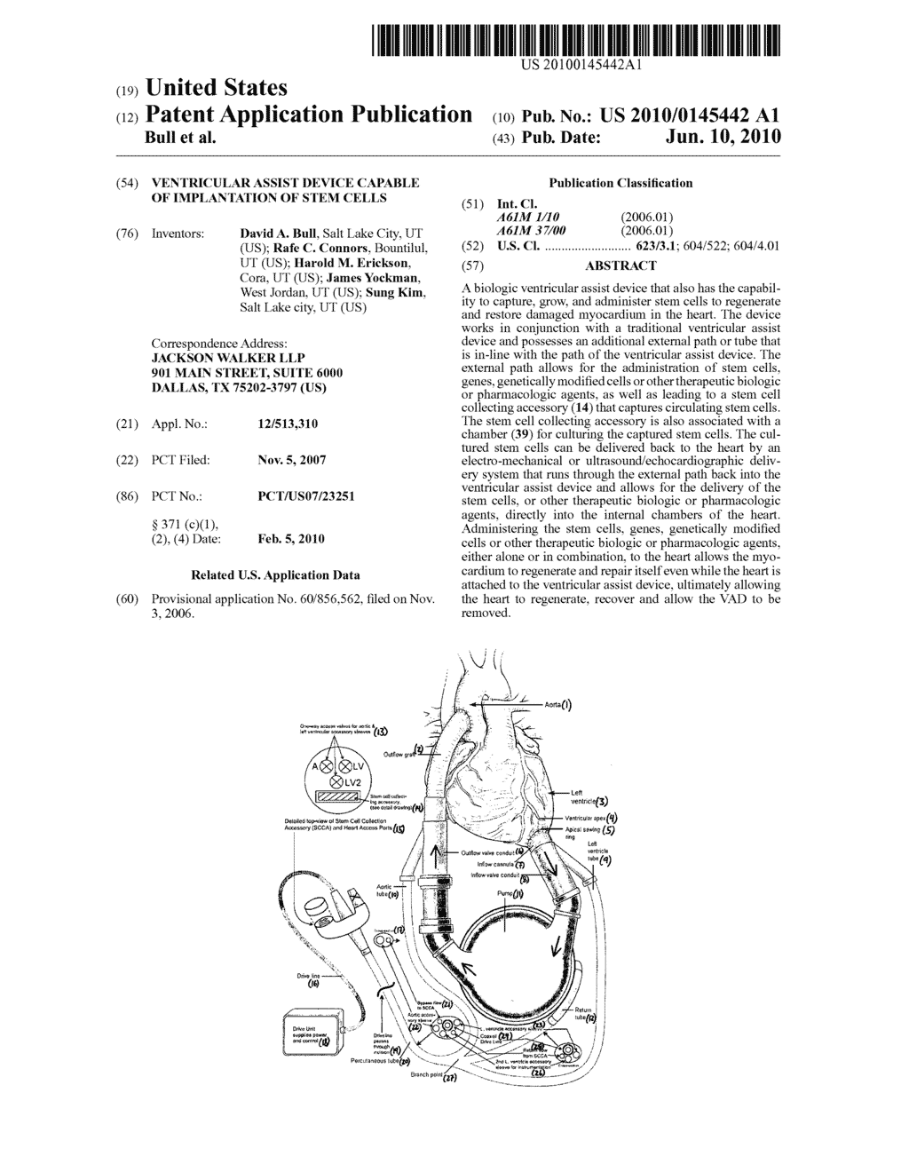 VENTRICULAR ASSIST DEVICE CAPABLE OF IMPLANTATION OF STEM CELLS - diagram, schematic, and image 01