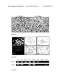 SCAFFOLDING FOR TISSUE REGENERATION OR REPAIR diagram and image