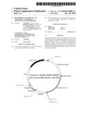 RECOMBINANT CONSTRUCTS AND TRANSGENIC FLUORESCENT ORNAMENTAL FISH THEREFROM diagram and image