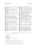 RECOMBINANT CONSTRUCTS AND TRANSGENIC FLUORESCENT ORNAMENTAL FISH THEREFROM diagram and image