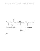 Increased Stress Tolerance and Enhanced Yield in Plants diagram and image