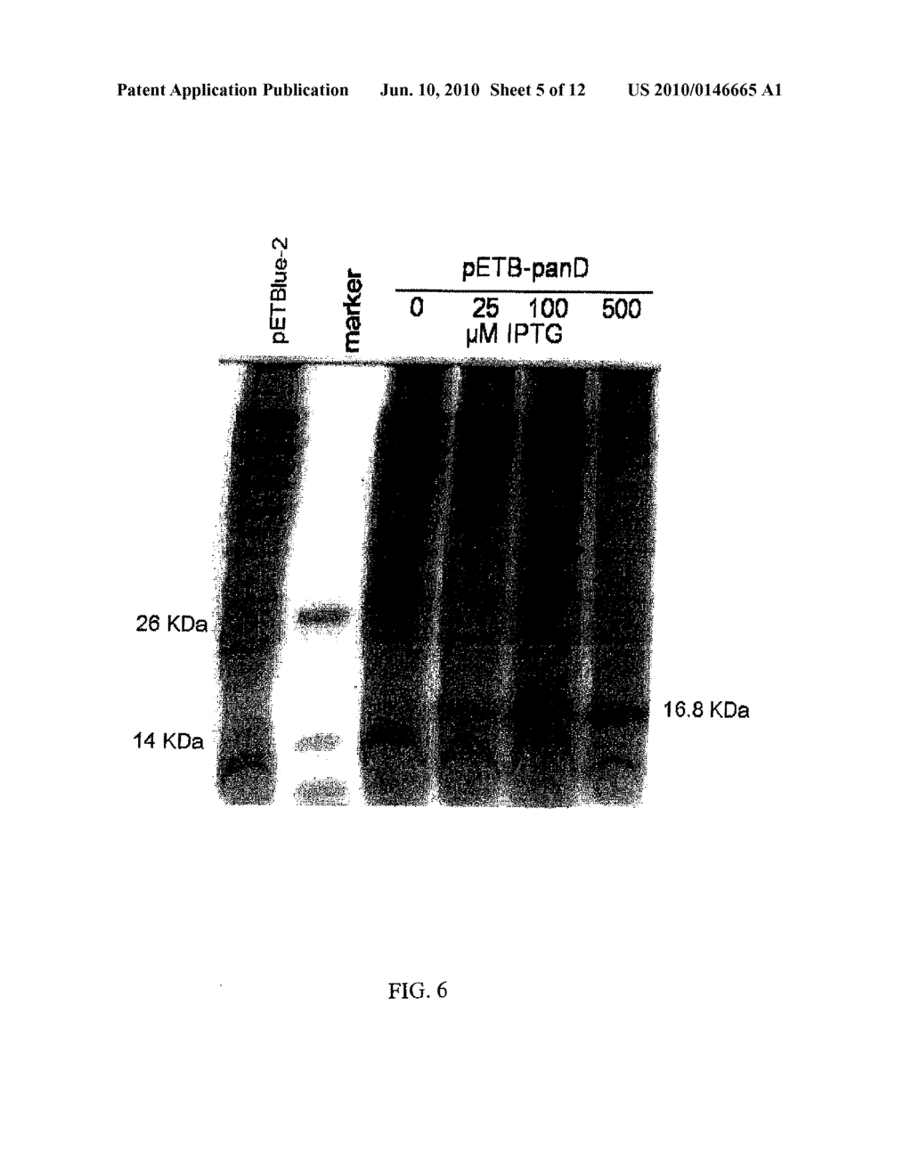 Increased Stress Tolerance and Enhanced Yield in Plants - diagram, schematic, and image 06