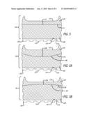 SHOE diagram and image