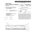 Fire and Sag Resistant Acoustical Panel and Substantially Clear Coating Therefor diagram and image