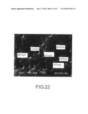 Encapsulant material, crystalline silicon photovoltaic module and thin film photovoltaic module diagram and image