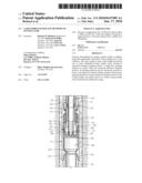 Large bore packer and methods of setting same diagram and image