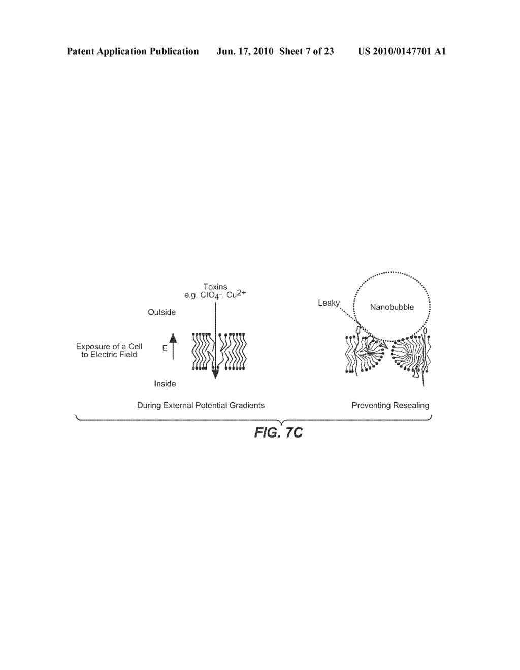 METHOD AND APPARATUS FOR APPLYING ELECTRICAL CHARGE THROUGH A LIQUID TO ENHANCE SANITIZING PROPERTIES - diagram, schematic, and image 08