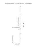 SYSTEM FOR PROVIDING A CALIBRATION FOR A TESTING DEVICE USED TO EVALUATE ETHANOL PRODUCTION YIELD, AND ASSOCIATED METHOD diagram and image